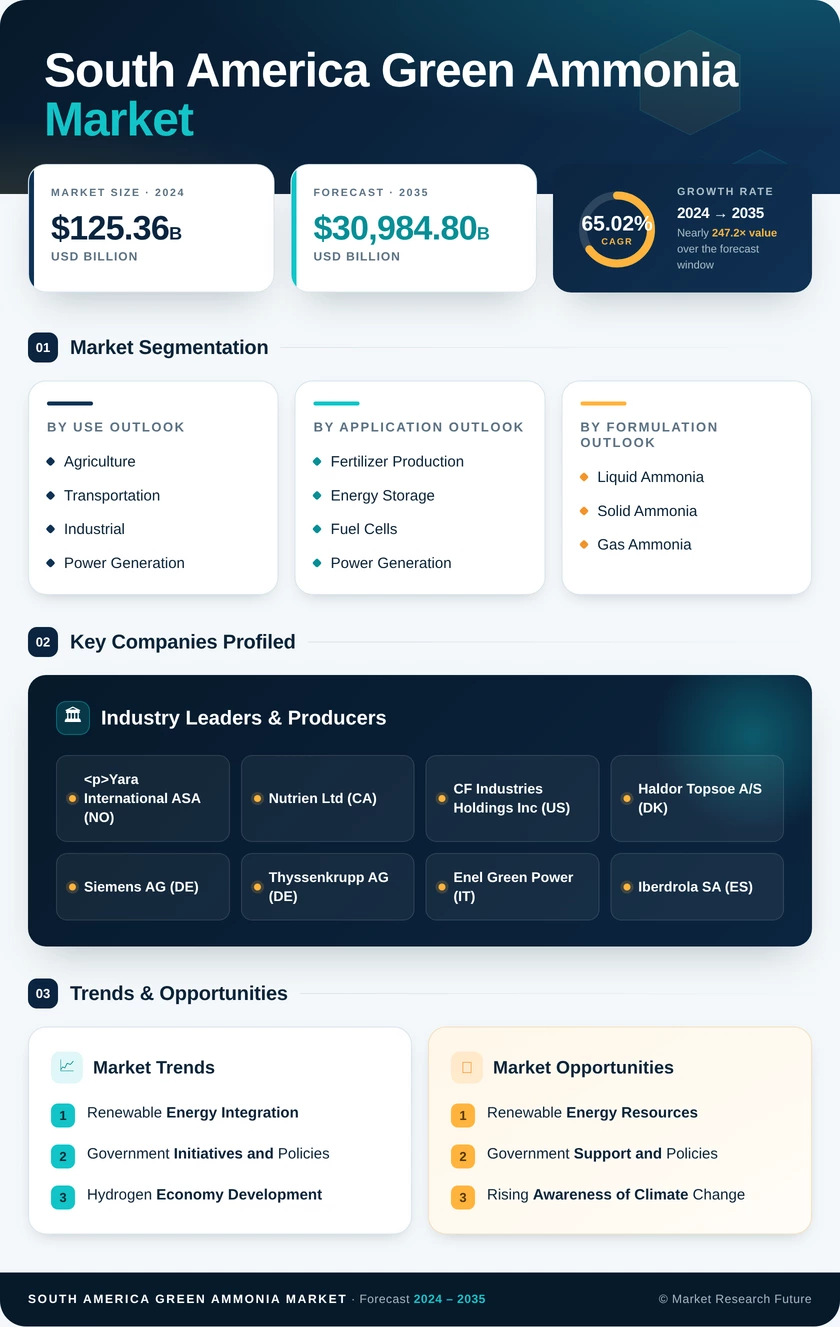 South America Green Ammonia Market Research Report - Forecast 2035 Infographic