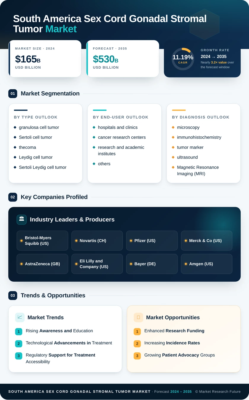 South America Sex Cord Gonadal Stromal Tumor Market Research Report - Forecast to 2035 Infographic