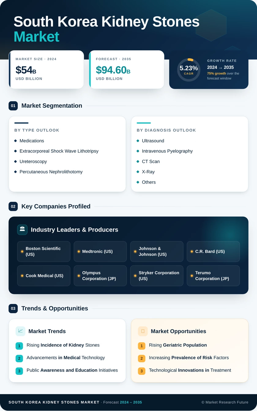 South Korea Kidney Stones Market Research Report - Forecast to 2035 Infographic