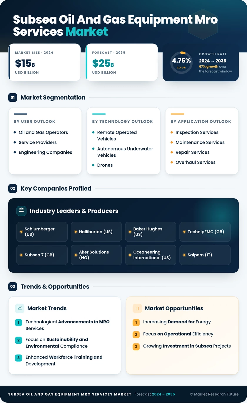 Subsea Oil and Gas Equipment MRO Services Market Infographic