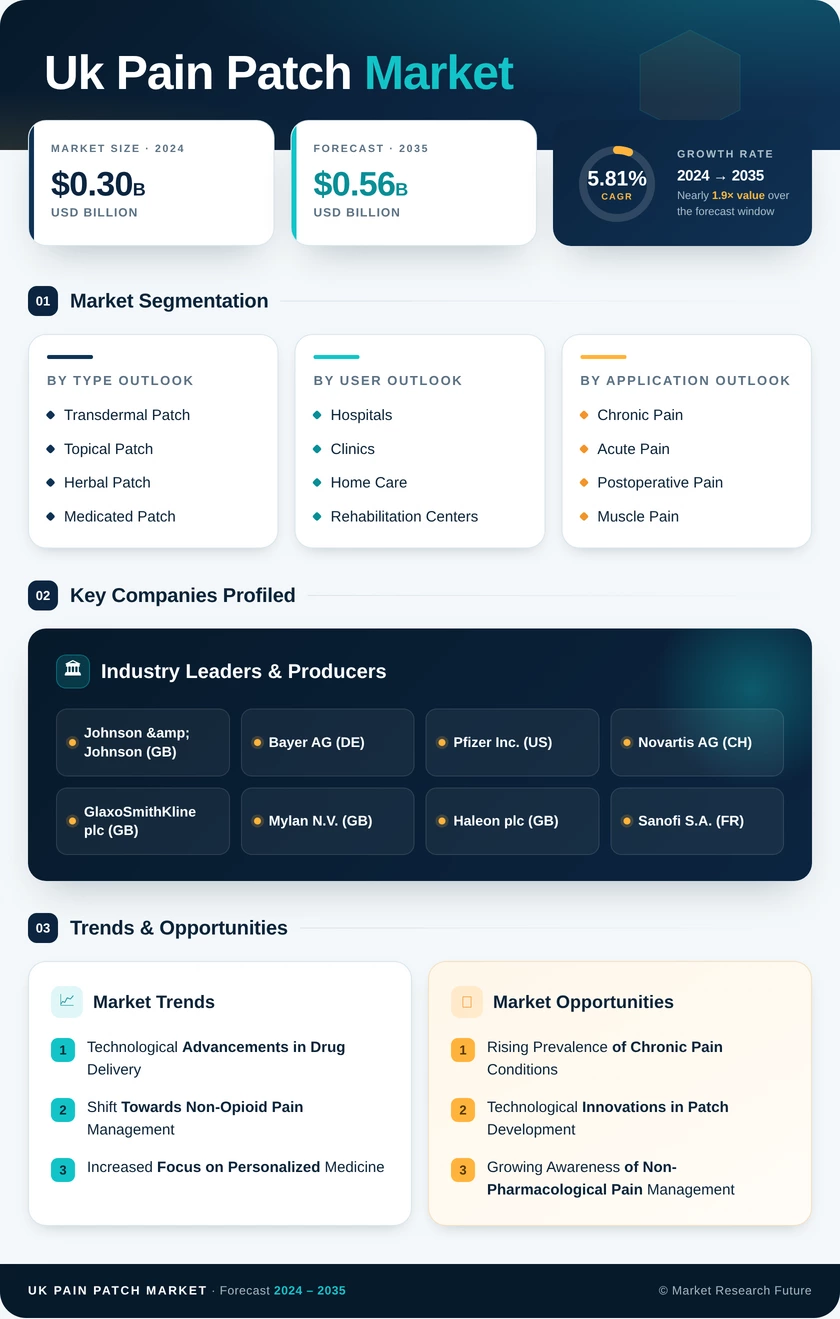 UK Pain Patch Market Infographic