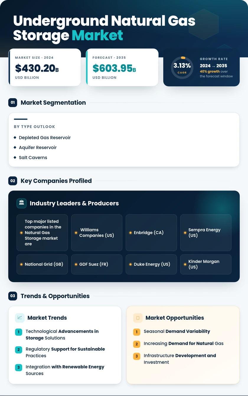 Underground Natural Gas Storage Market Research Report—Global Forecast till 2035 Infographic