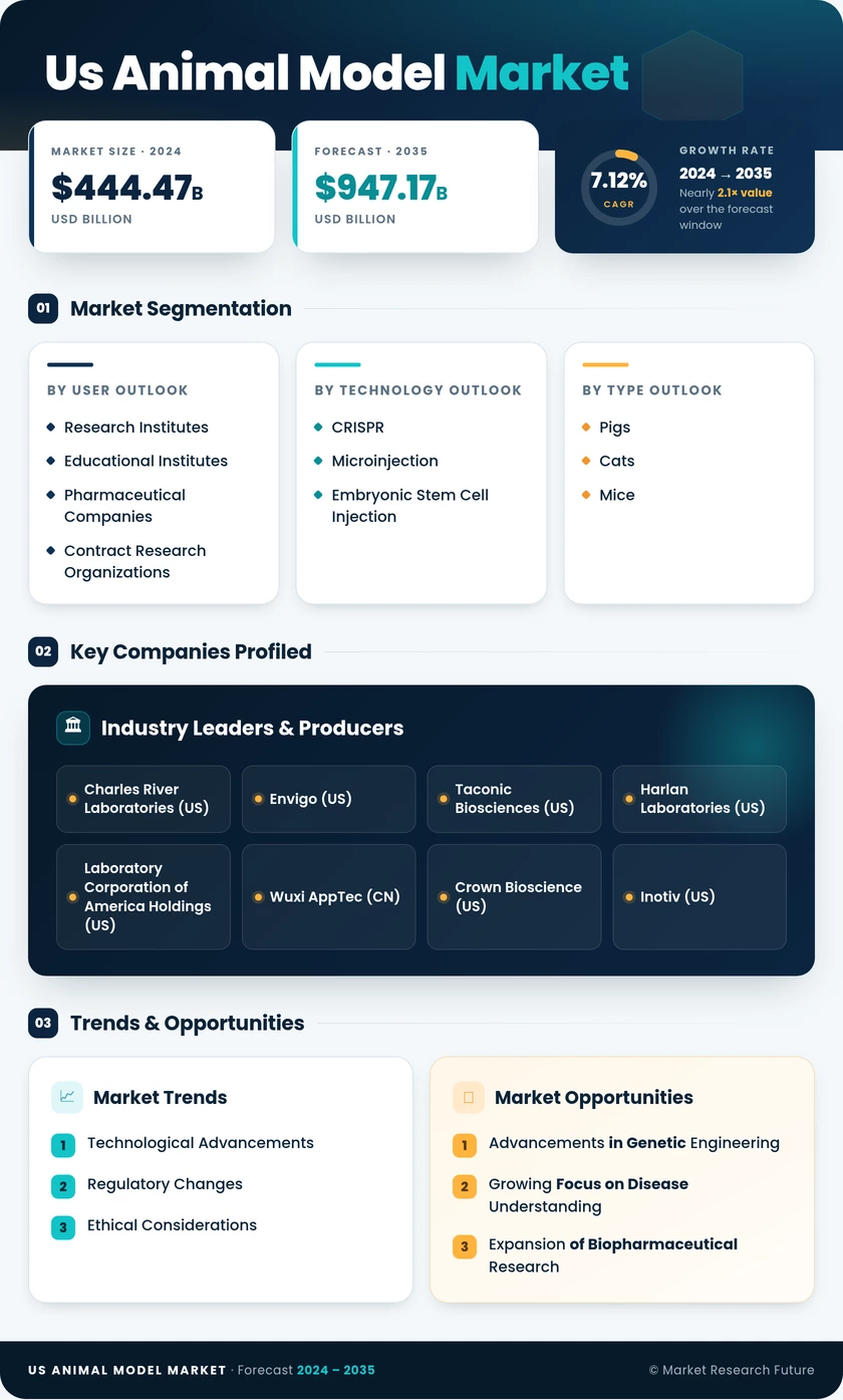 US Animal Model Market Infographic