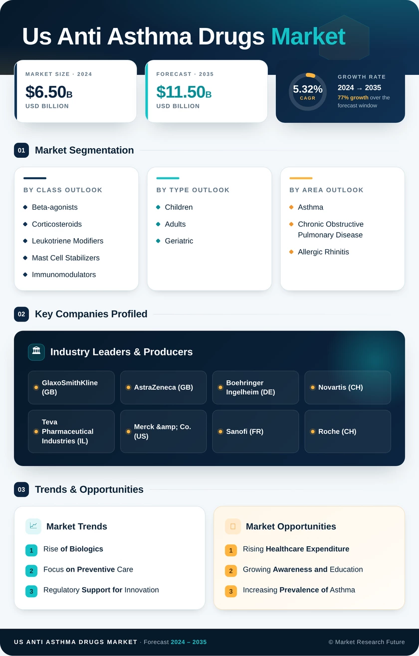 US Anti Asthma Drugs Market Infographic