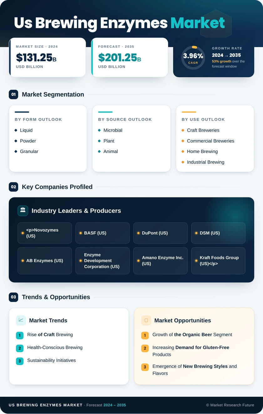 US Brewing Enzymes Market Infographic