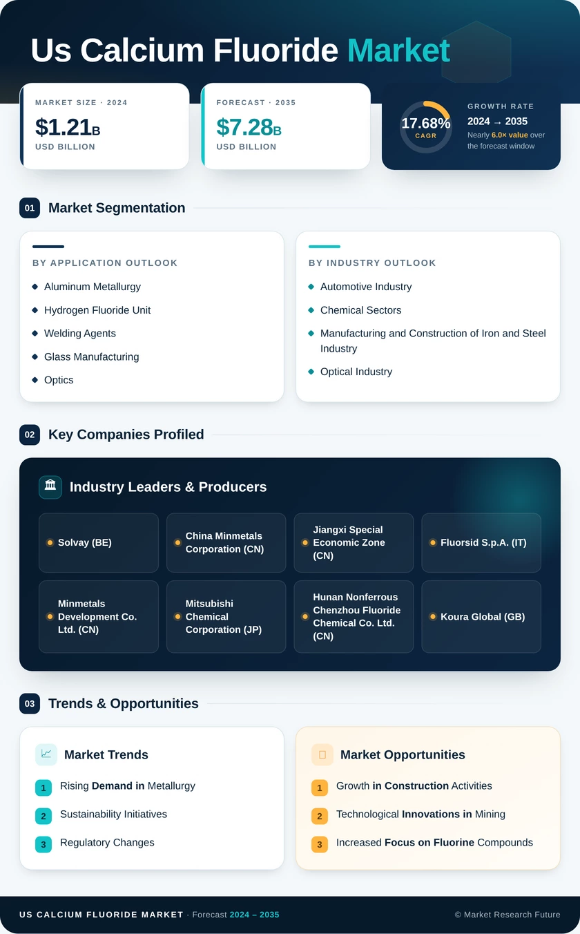 US Calcium Fluoride Market Research Report - Forecast till 2035 Infographic
