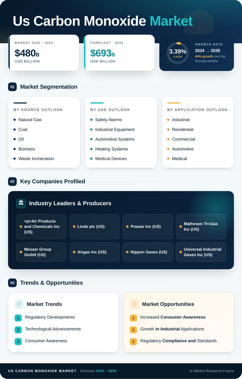US Carbon Monoxide Market Research Report - Forecast by 2035 Infographic