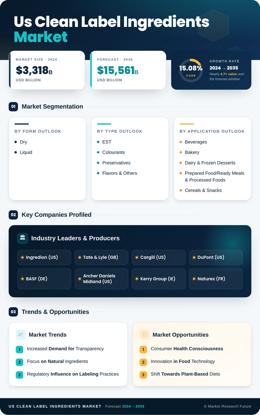 US Clean Label Ingredients Market Research Report — Forecast till 2035 Infographic