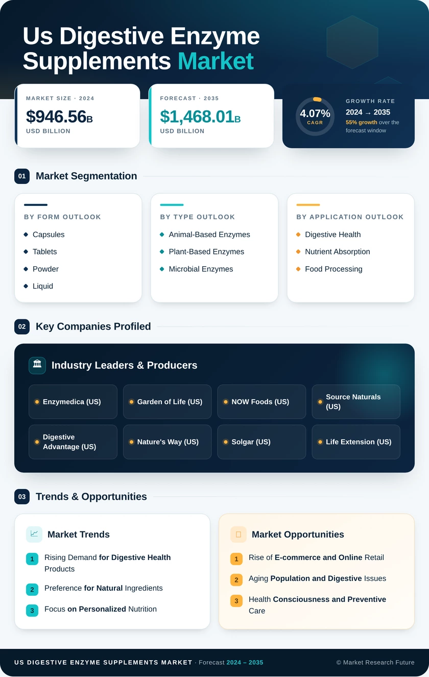 US Digestive Enzyme Supplements Market Research Report — Forecast till 2035 Infographic