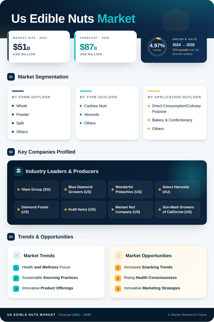 US Edible Nuts Market Infographic