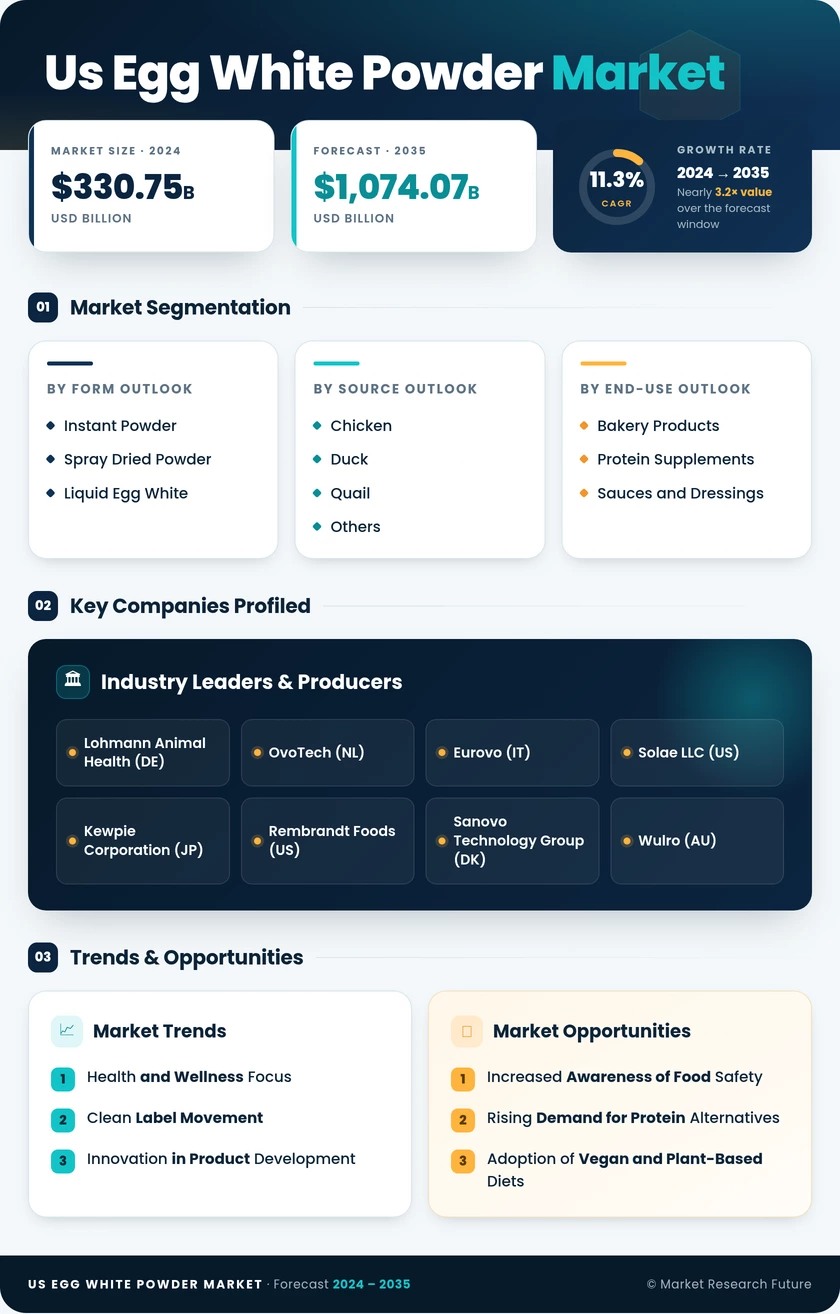 US Egg White Powder Market Research Report — Forecast till 2035 Infographic
