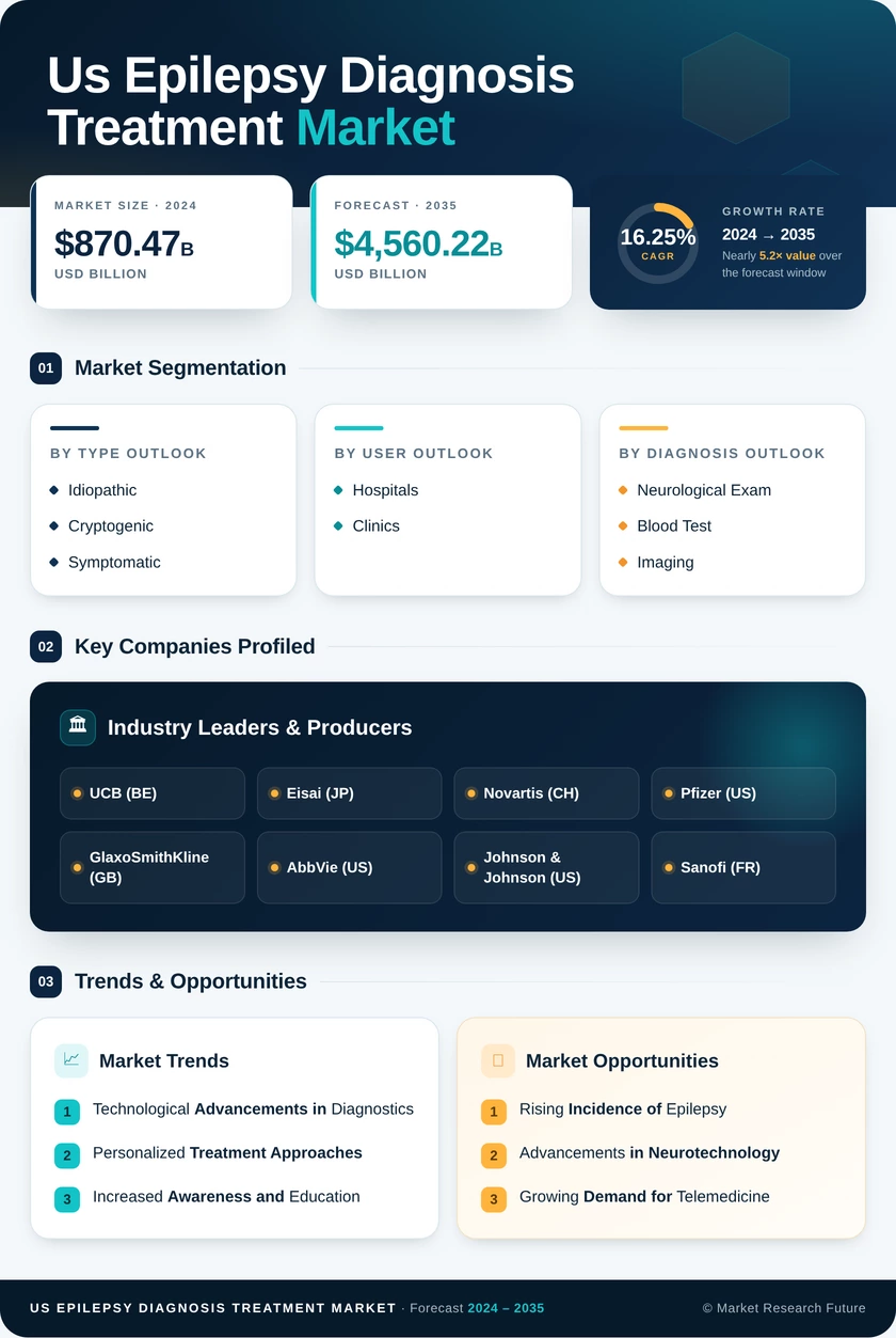 US Epilepsy Diagnosis Treatment Market Infographic