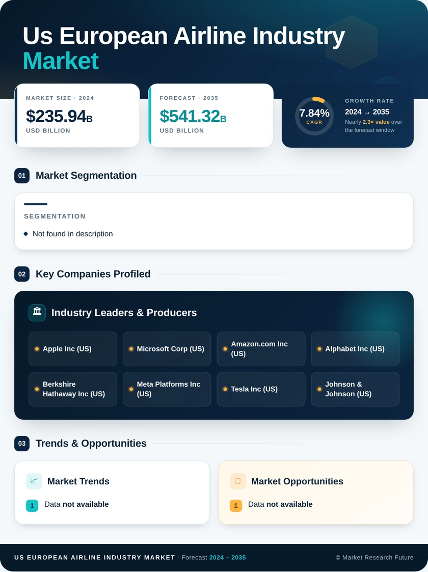 US European Airline Industry Market Infographic