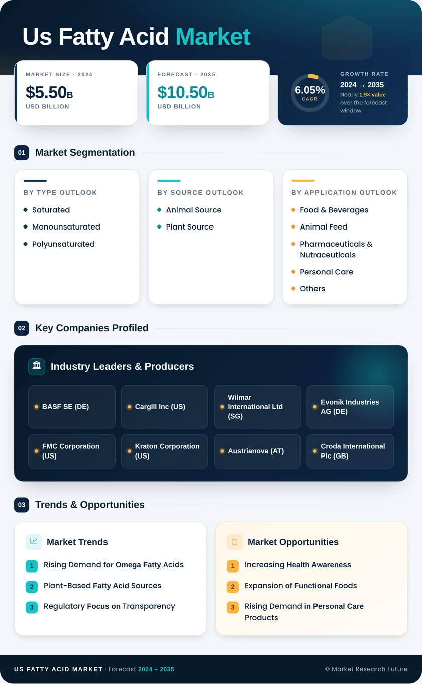 US Fatty Acid Market Research Report — Forecast till 2035 Infographic