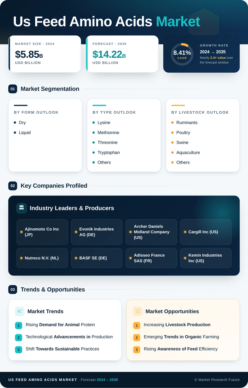 US Feed Amino Acids Market Research Report - Forecast Till 2035 Infographic
