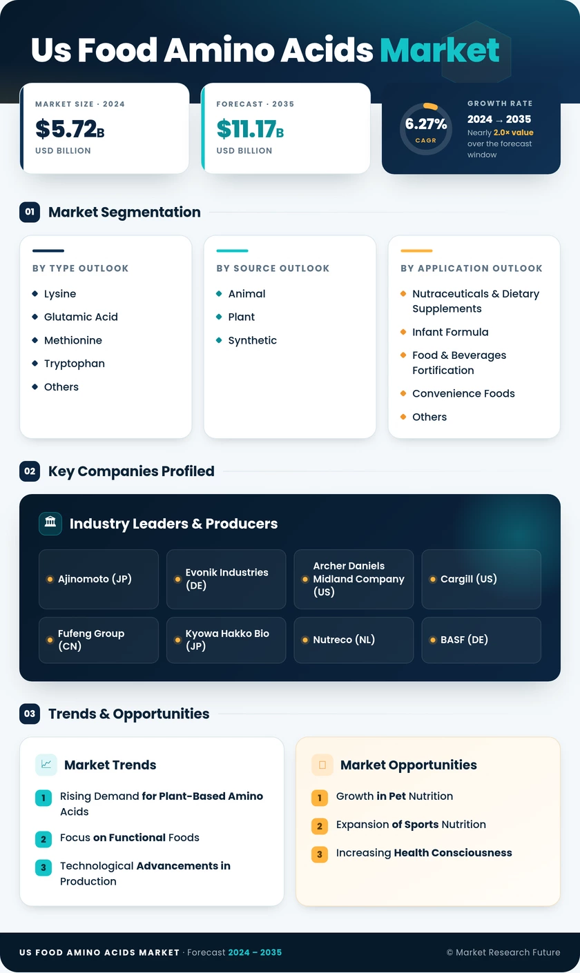 US Food Amino Acids Market Research Report — Forecast till 2035 Infographic