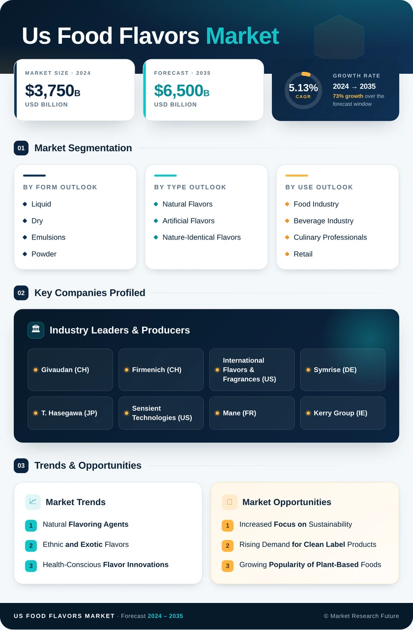 US Food Flavors Market Research Report — Forecast till 2035 Infographic