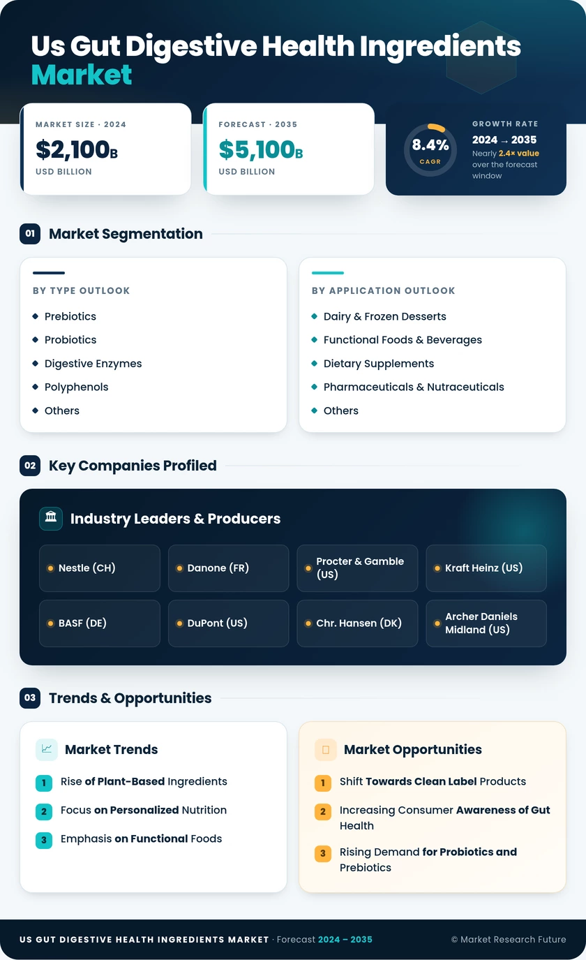 US Gut Digestive Health Ingredients Market Research Report — Forecast till 2035 Infographic