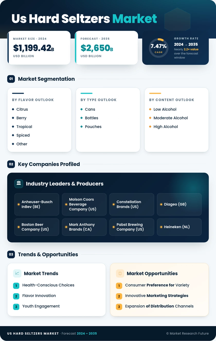 US Hard Seltzers Market Research Report — Forecast till 2035 Infographic