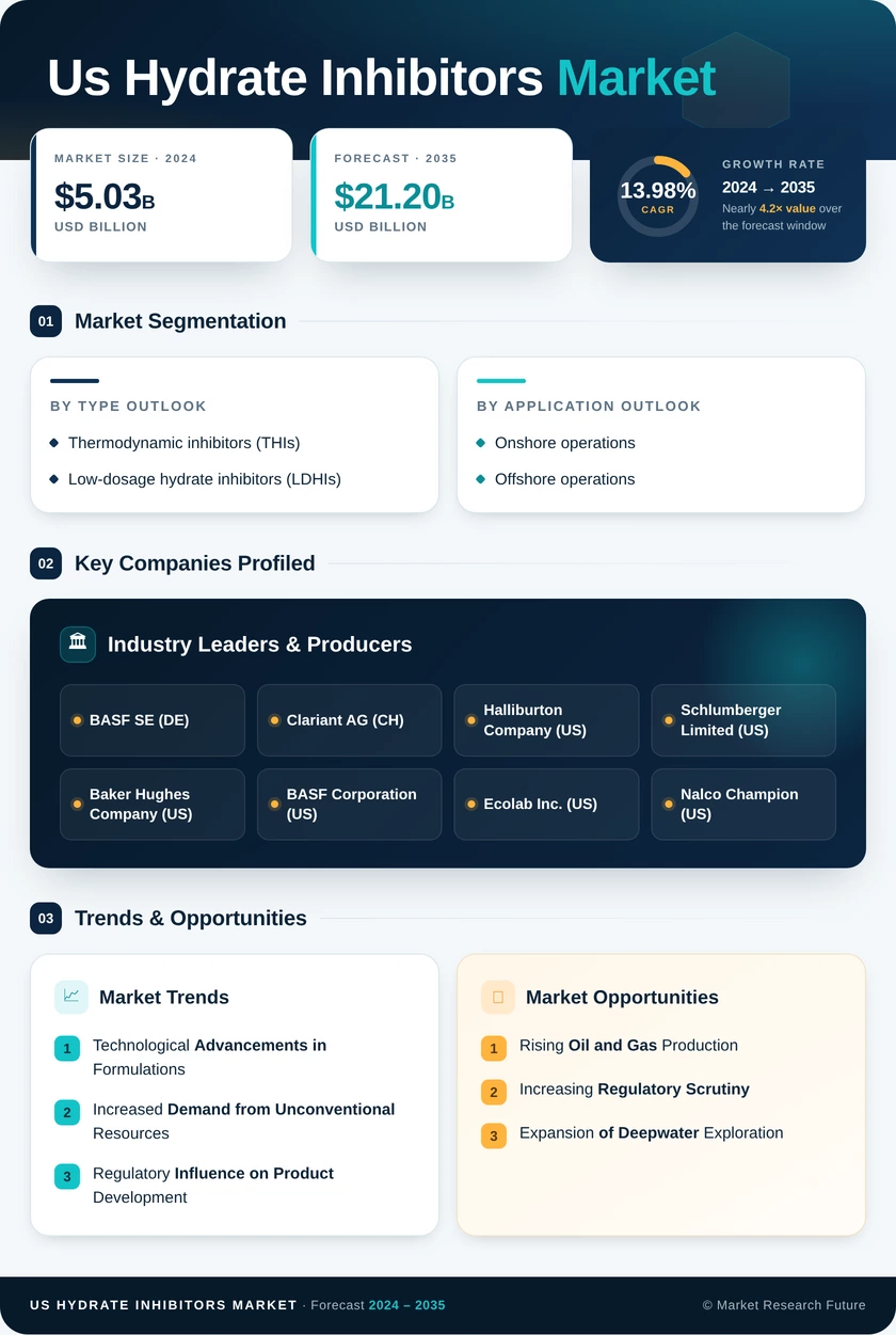 US Hydrate Inhibitors Market Research Report - Forecast till 2035 Infographic