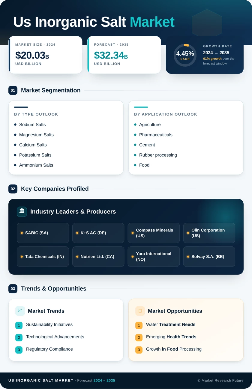 Global & US Inorganic Salt Market Consumption Forecast 2022 to 2035 Infographic