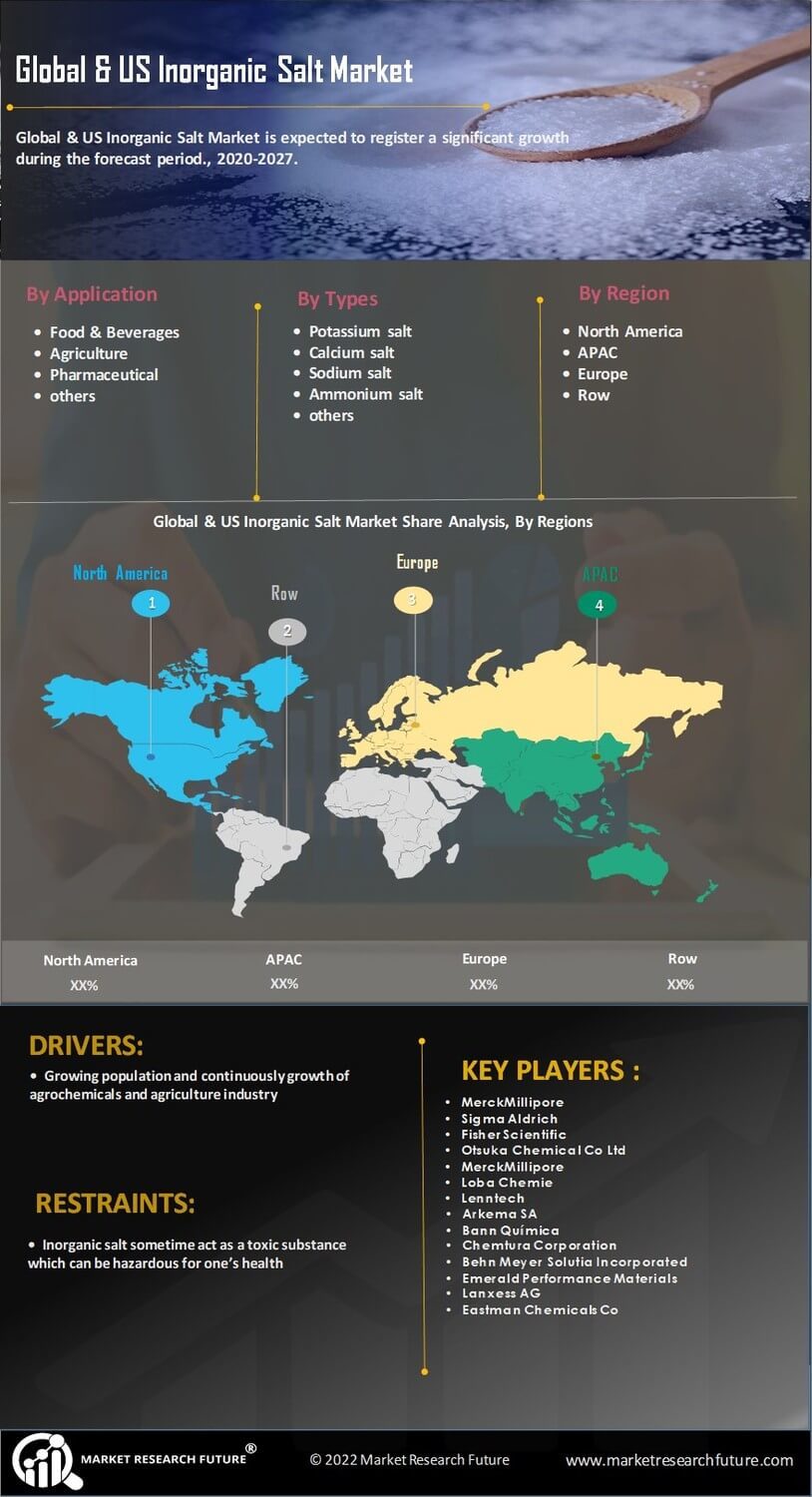 US Inorganic Salt Market