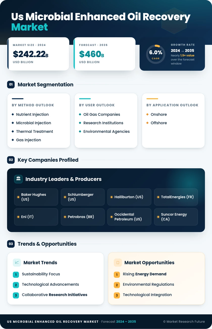US Microbial Enhanced Oil Recovery Market Research Report - Forecast to 2035 Infographic