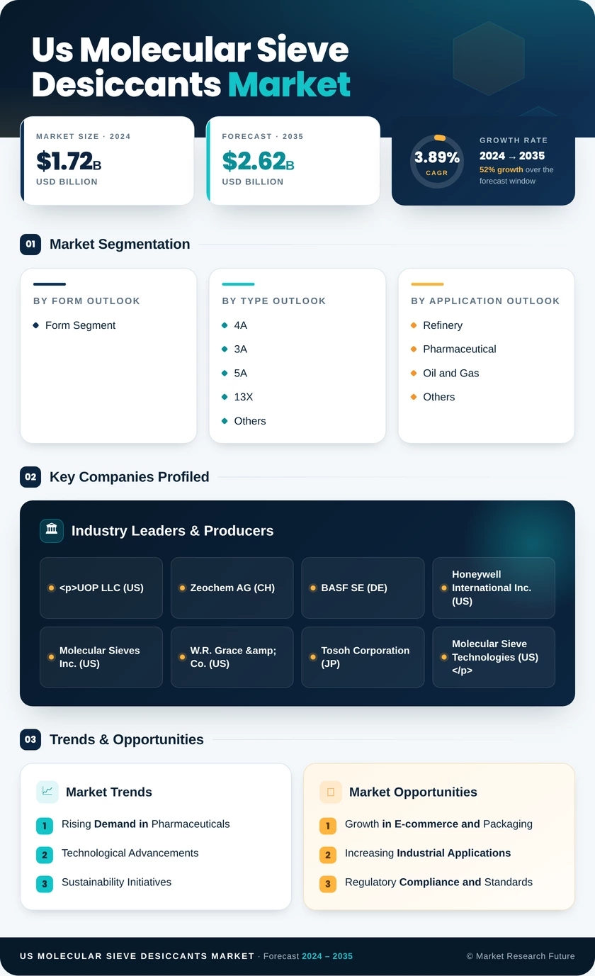 US Molecular Sieve Desiccants Market Infographic