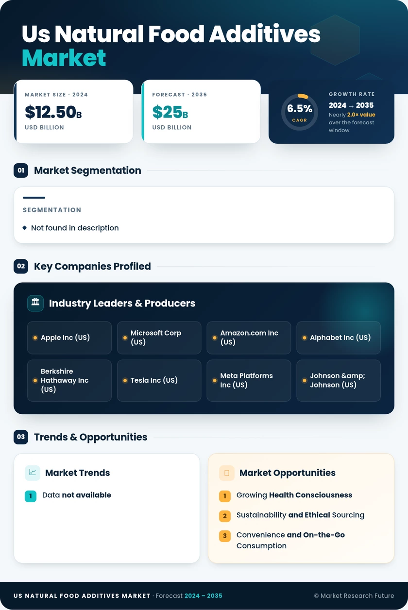 US Natural Food Additives Market two Infographic