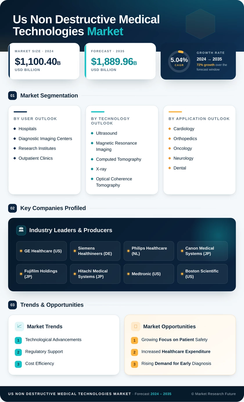 US Non-Destructive Medical Technologies Market Infographic