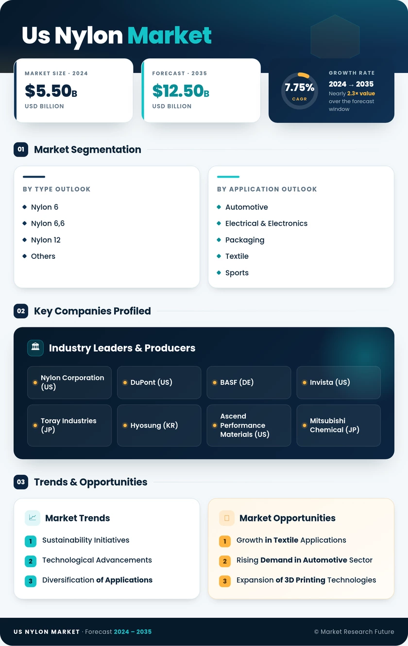 US Nylon market Infographic