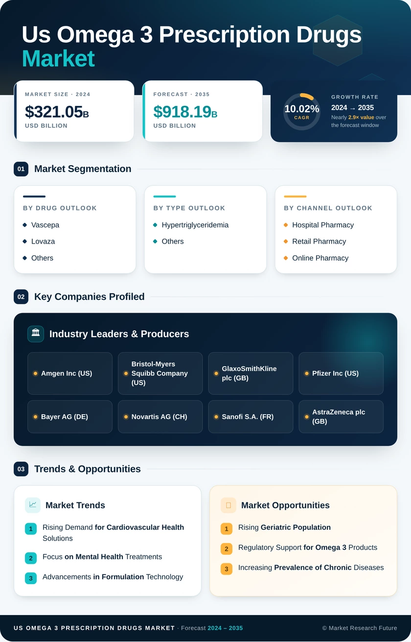 US Omega 3 Prescription Drugs Market Infographic