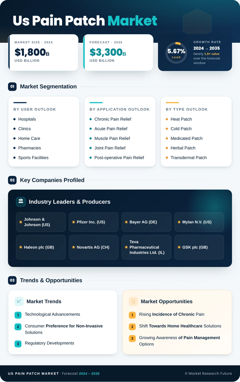 US Pain Patch Market Infographic
