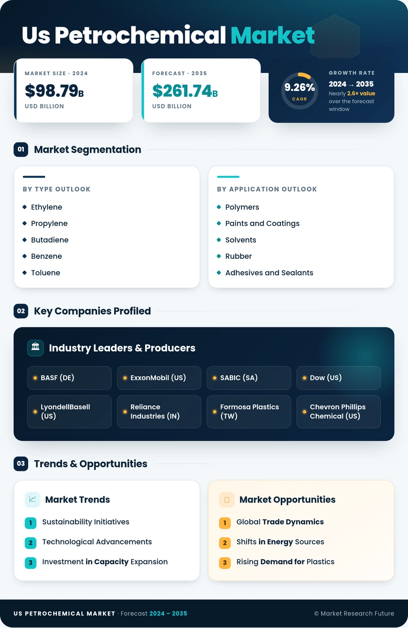 US Petrochemicals Market Infographic