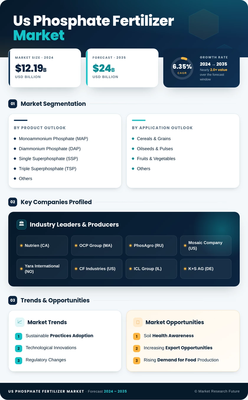 US Phosphate Fertilizer Market Research Report - Forecast Till 2035 Infographic