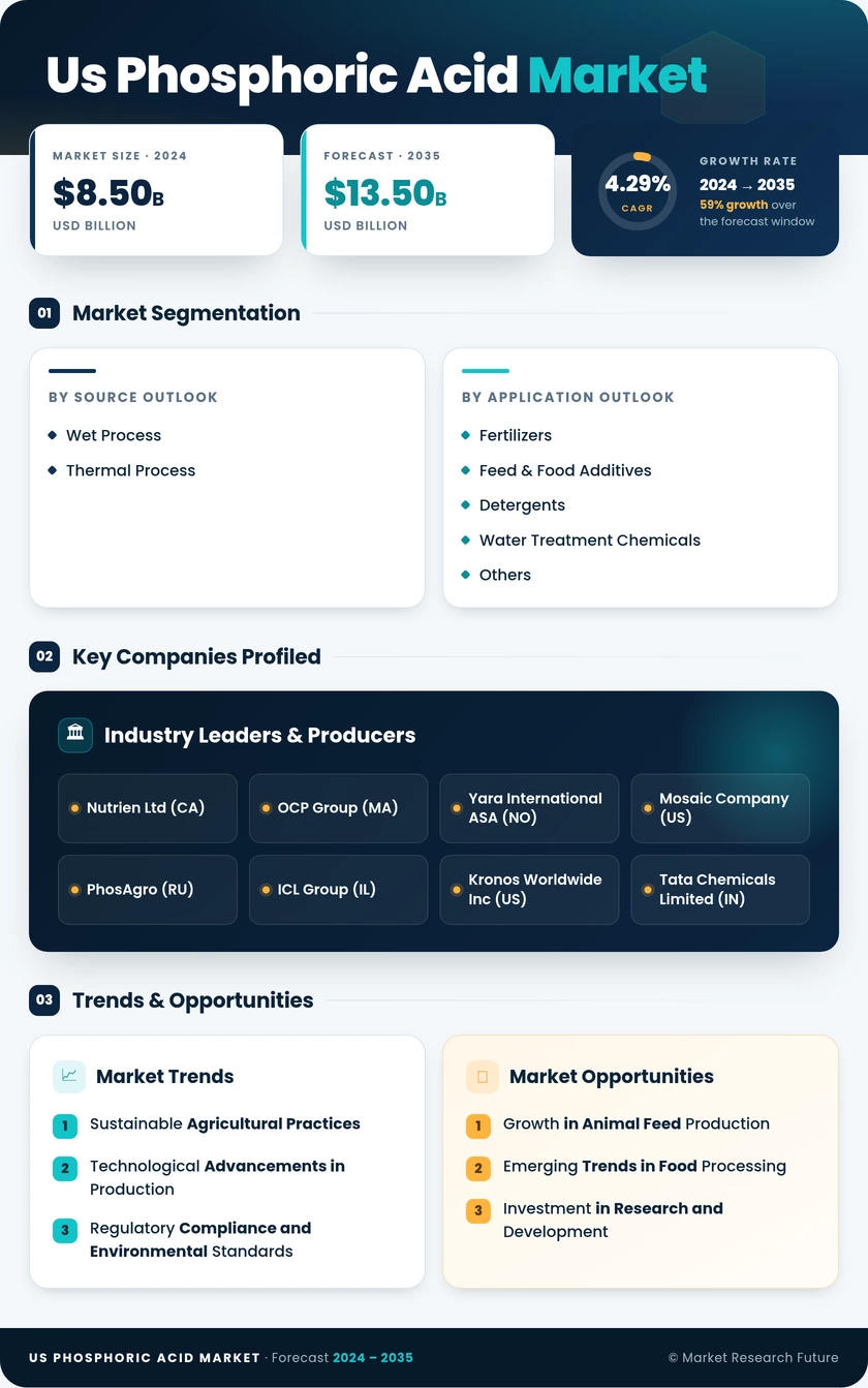 US Phosphoric Acid Market Infographic