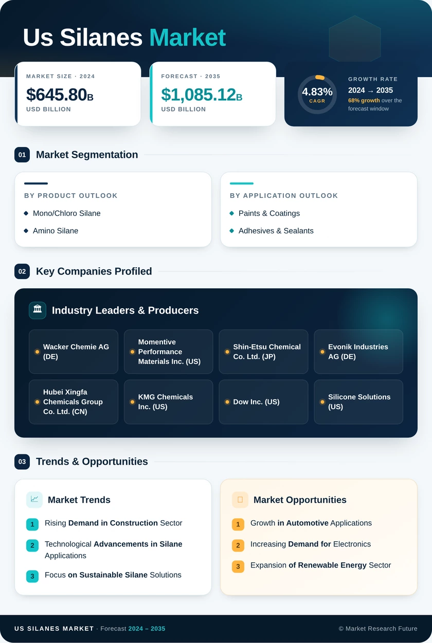 US Silanes Market Infographic
