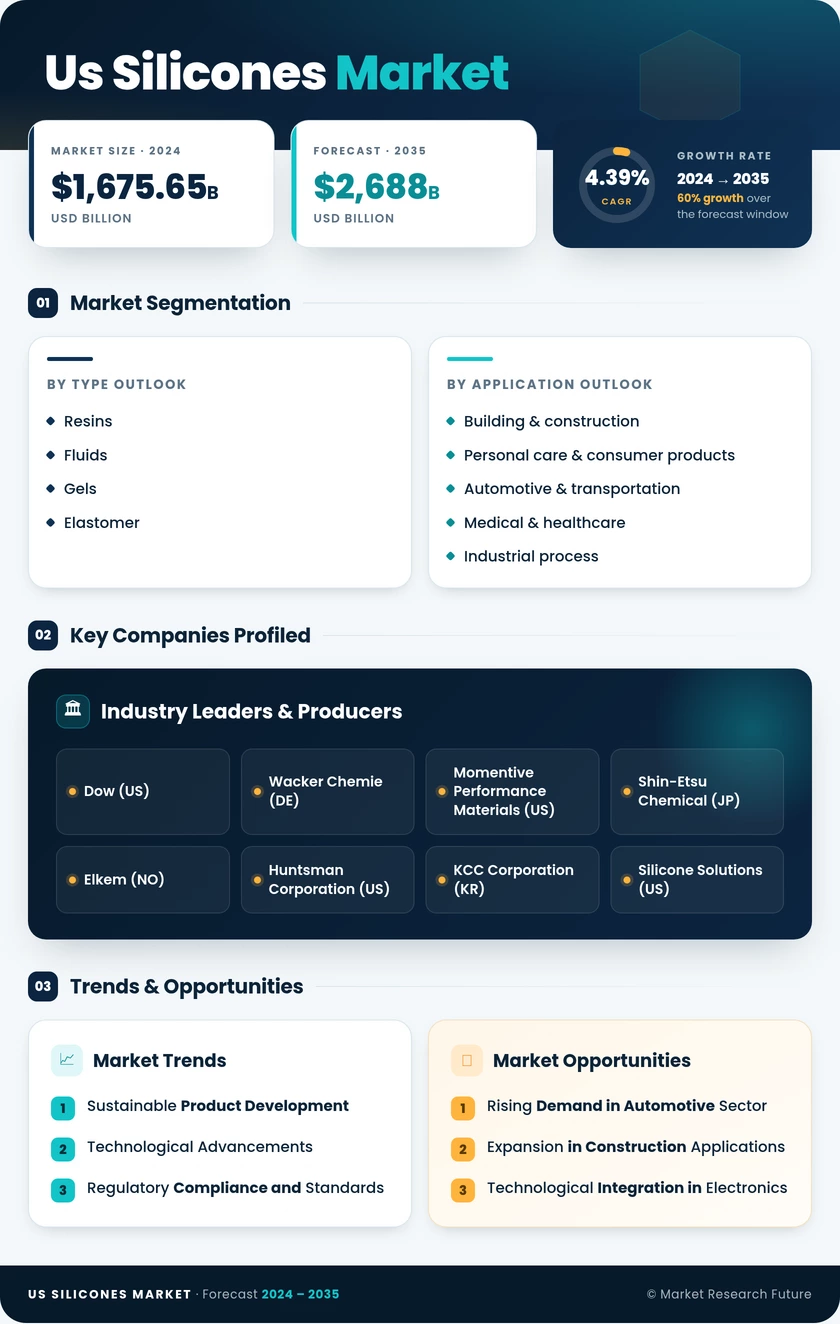 US Silicones Market Infographic