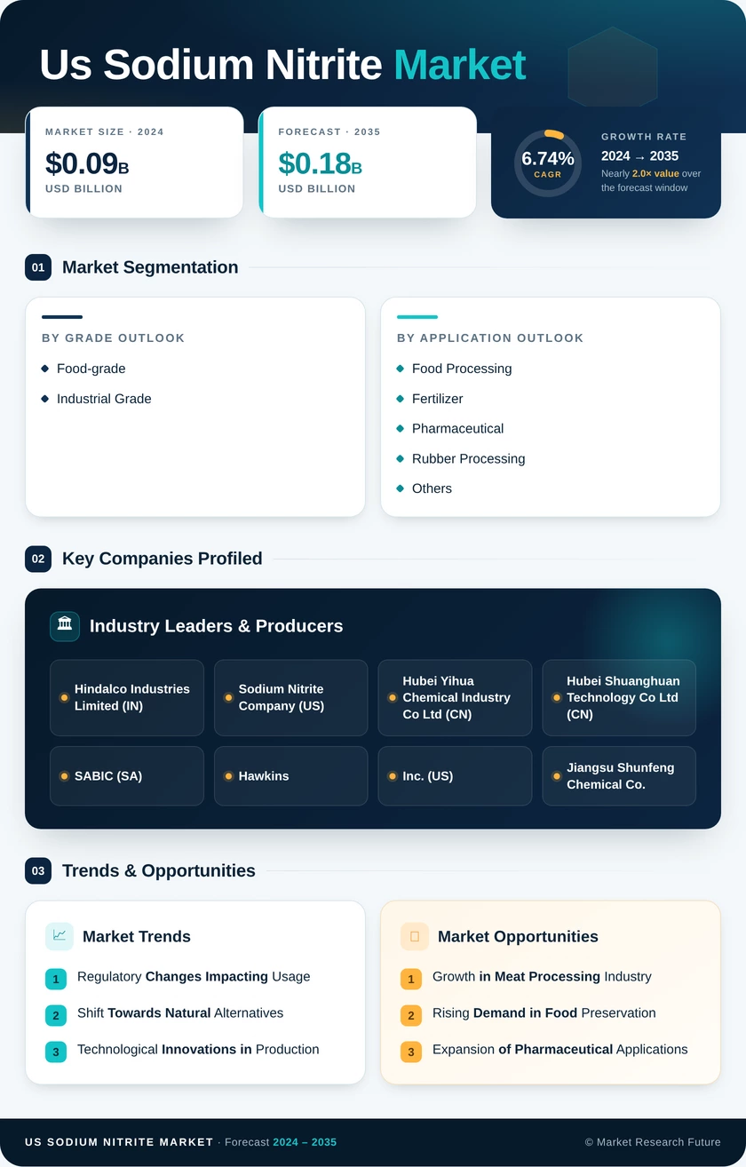 US Sodium Nitrite Market Infographic