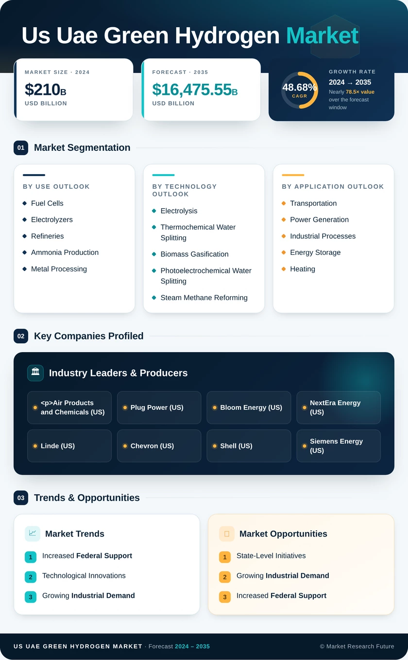 US UAE Green Hydrogen Market Infographic