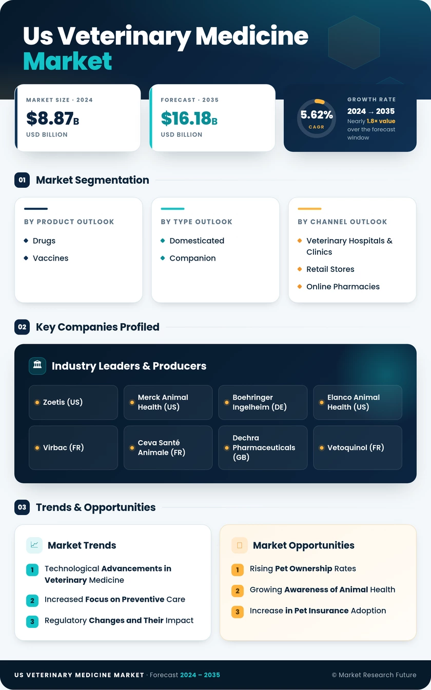 US Veterinary Medicine Market Infographic