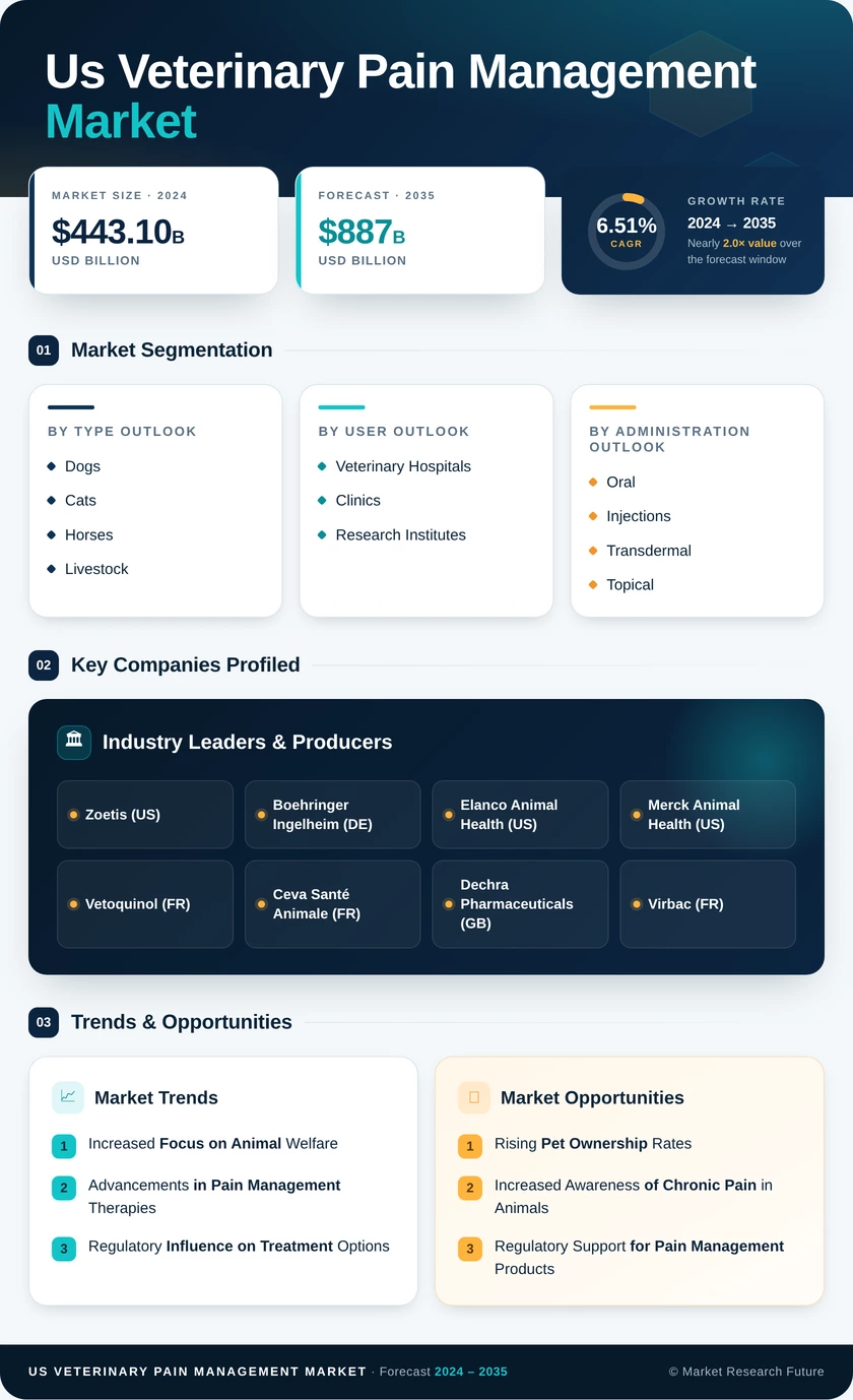 US Veterinary Pain Management Market Infographic
