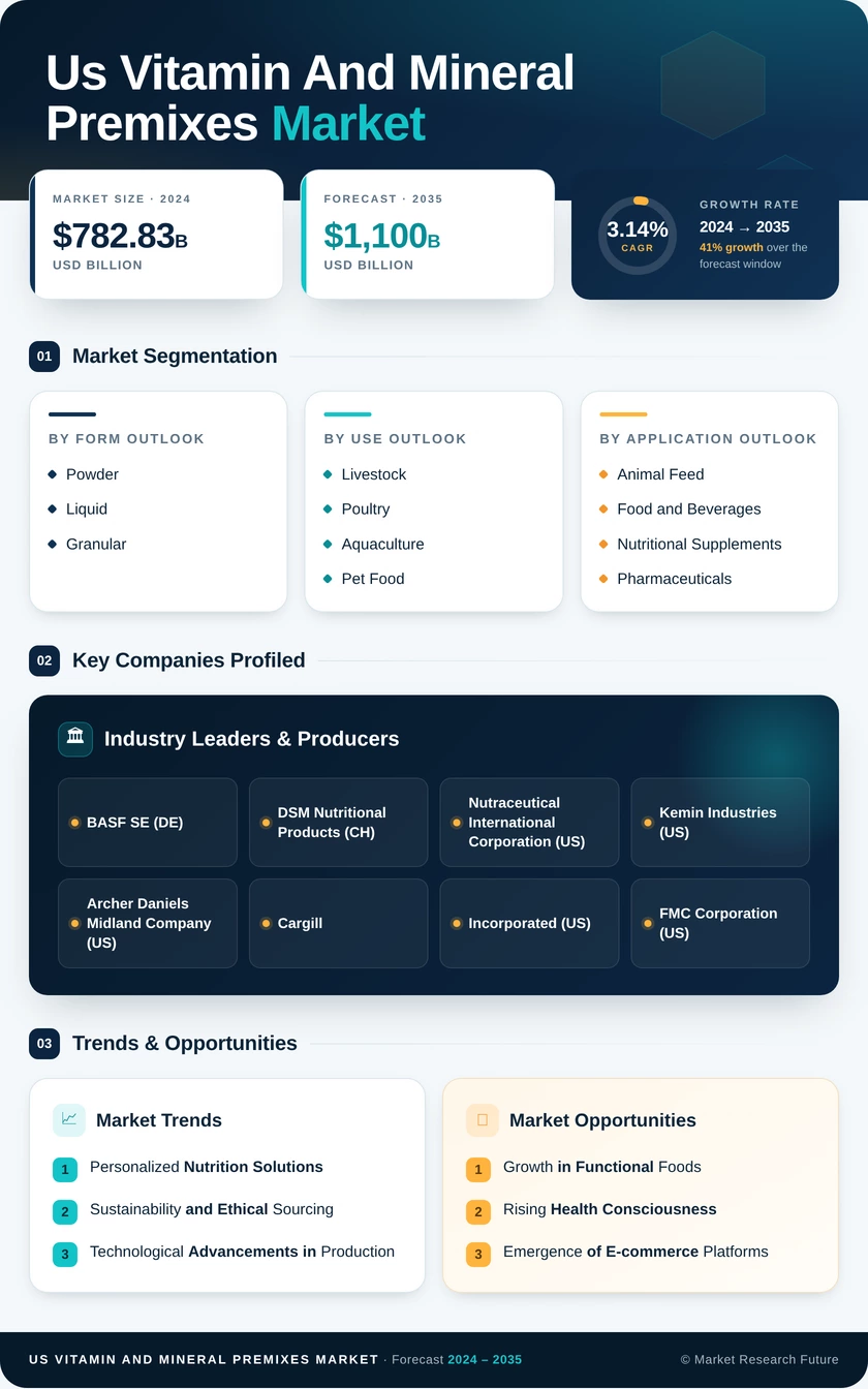 US Vitamin and Mineral Premixes Market Infographic