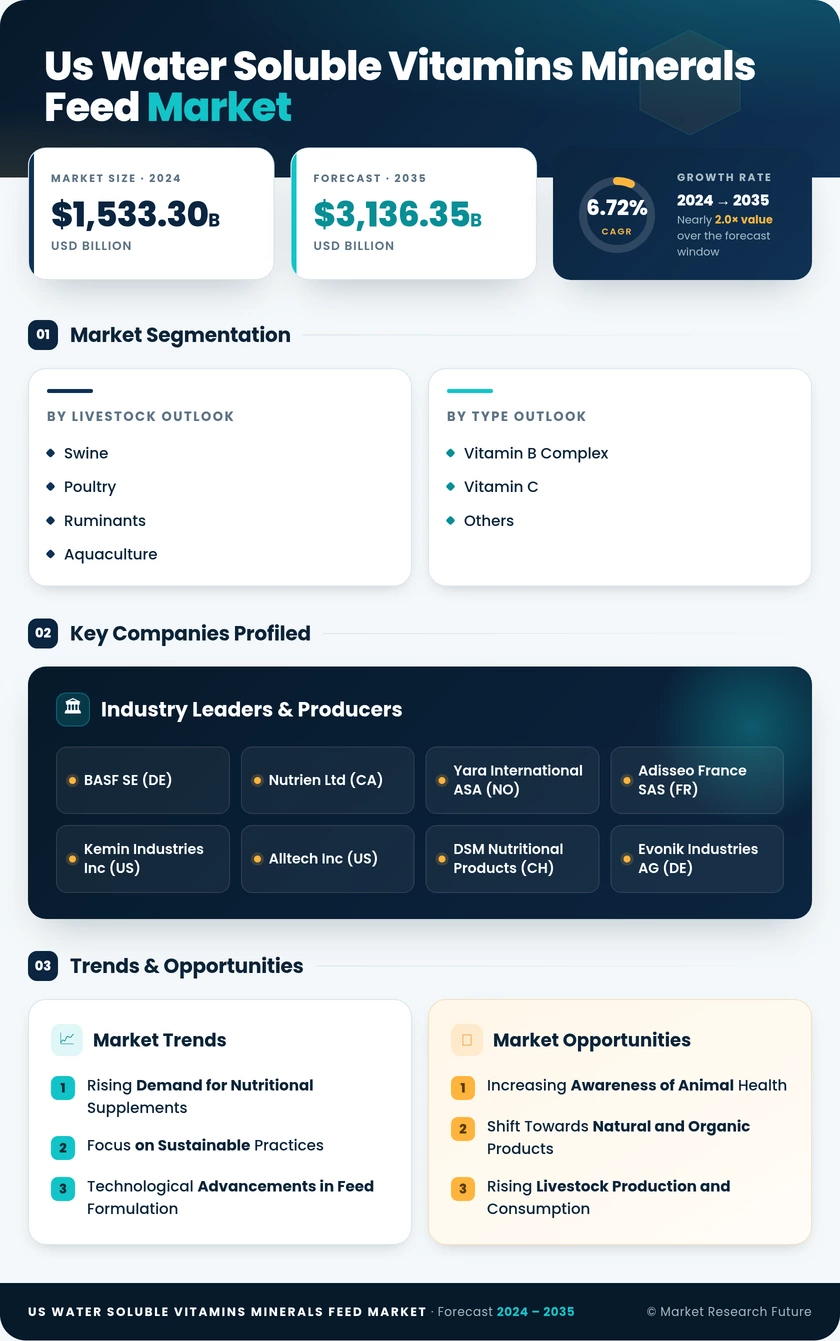 US Water Soluble Vitamins Minerals Feed Market Infographic