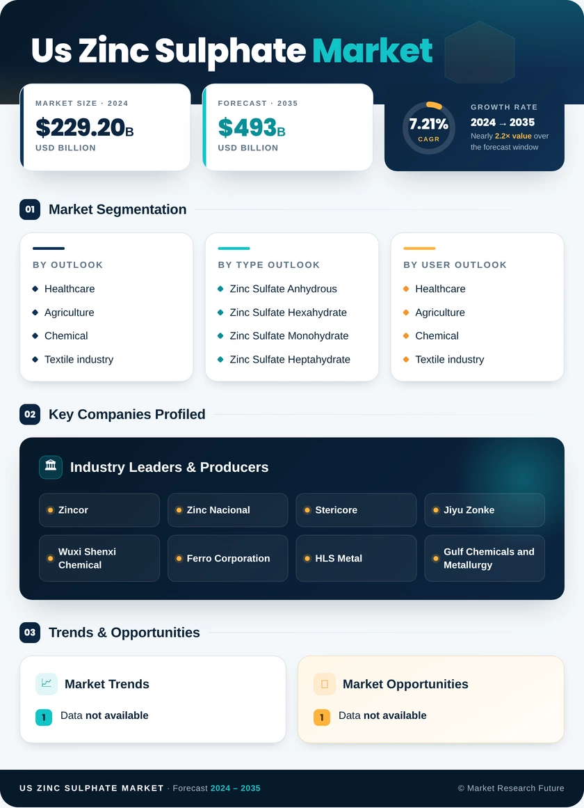 US Zinc Sulphate Market Research Report - Forecast Report 2035 Infographic