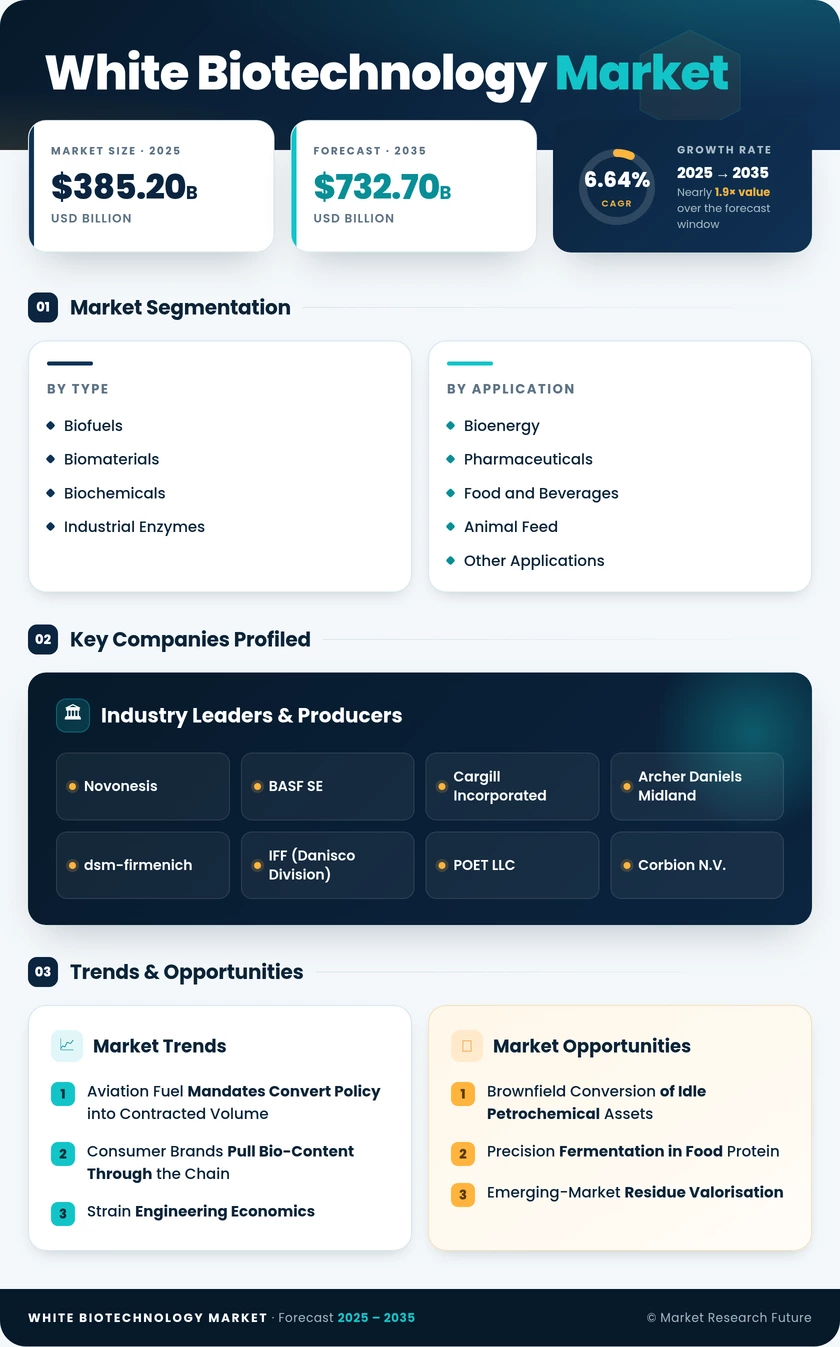 White Biotechnology Market Research Report-Forecast to 2035 Infographic