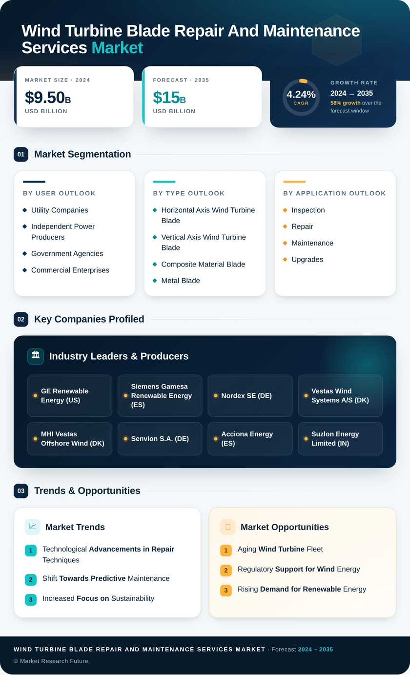 Wind Turbine Blade Repair and Maintenance Services Market Infographic