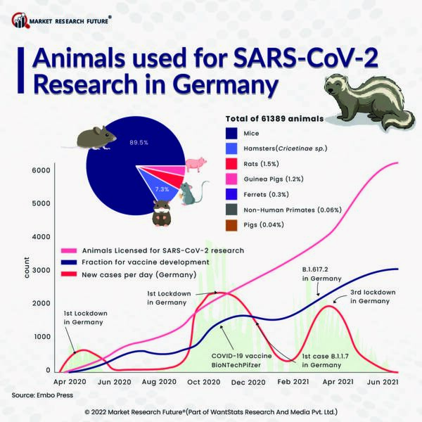The New Rabies Control Model to Reduce Death Rate by 2030