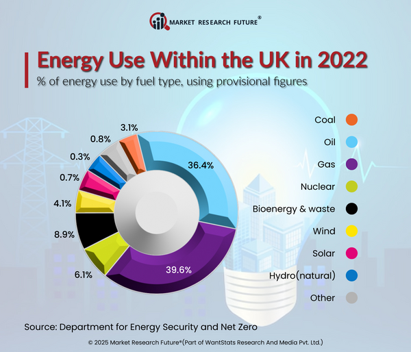 UK Seeks Renewable Energy Boost: Energy Secretary Ed Miliband to Visit China in 2025