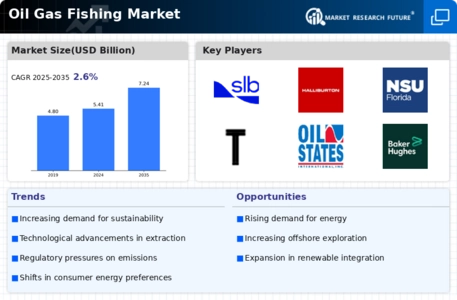 Oil Gas Fishing Market Infographic